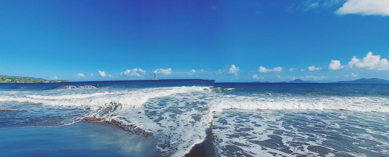 Bed and Breakfast Grande Anse - Les Cocotiers Труа-Ривьер Экстерьер фото